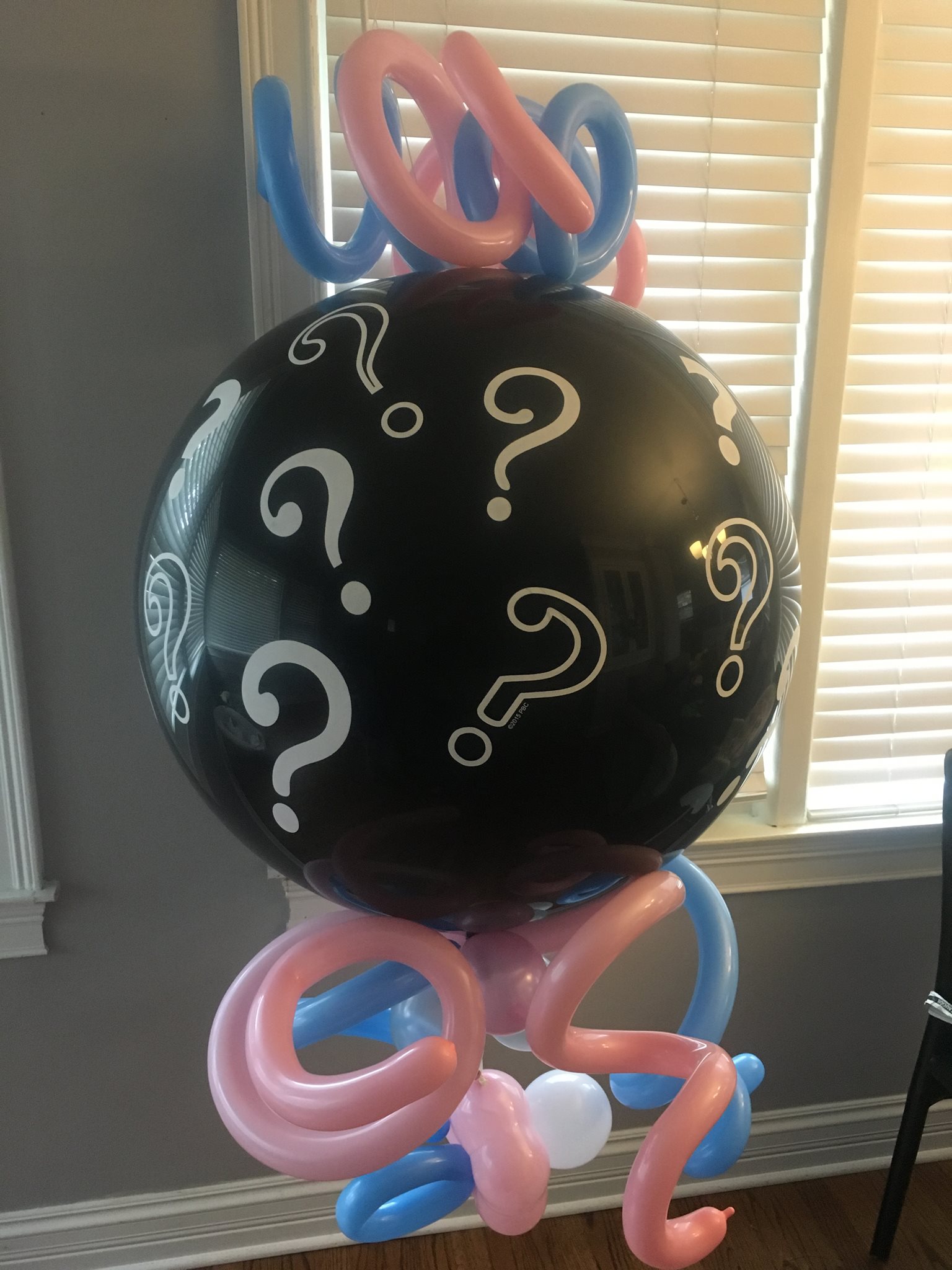 Gender Reveal Balloons